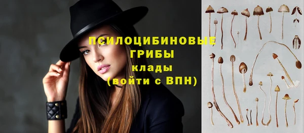 крисы Алексин