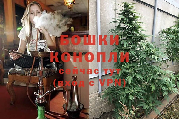 трава Алексеевка