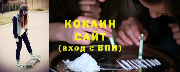 крисы Алексин