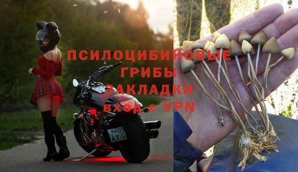 крисы Алексин