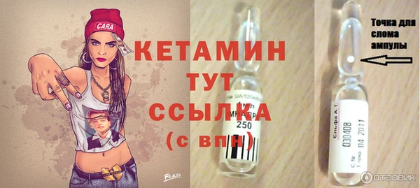 крисы Алексин